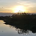 P1050516