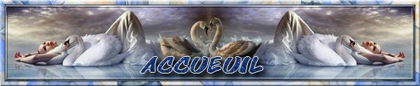 accueuil