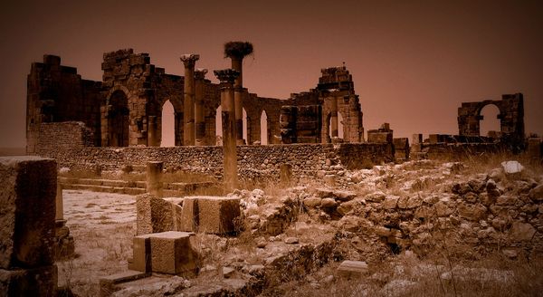 Volubilis_-_ruins_jm 2
