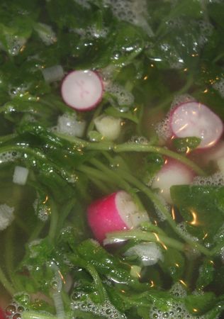Soupe_Radis_Pas_Mix_e