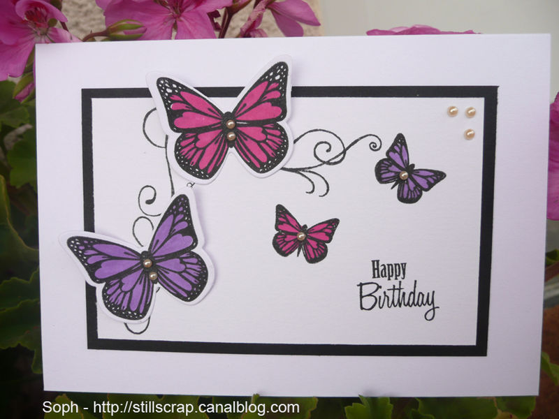 Carte D Anniversaire Still Scrap De Soph