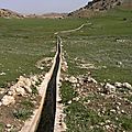 P1010638