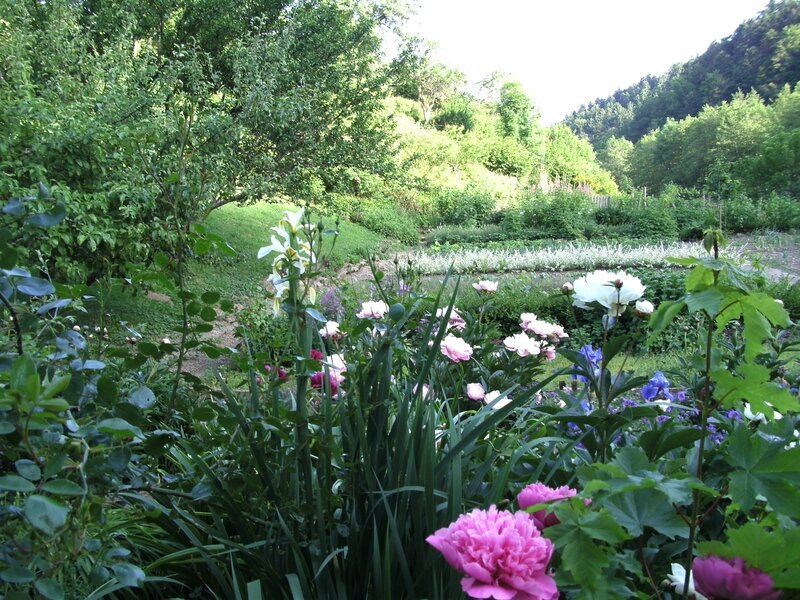 PICT0845