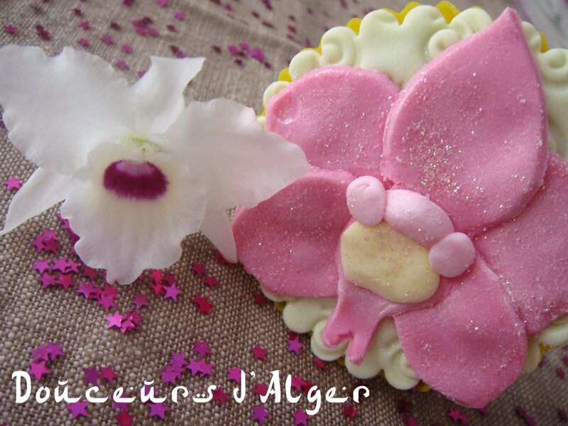 orchidée tarte