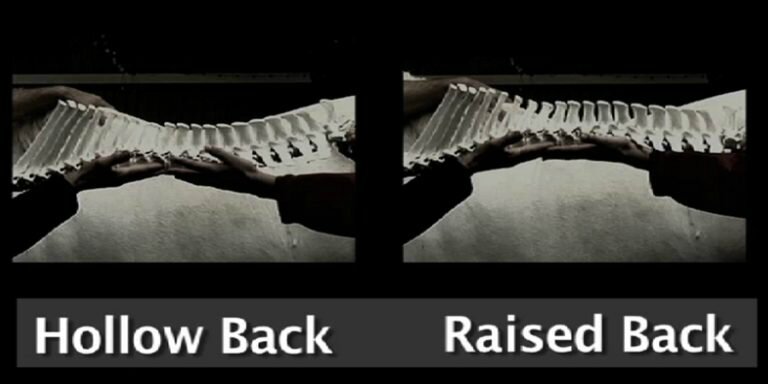 spine-hollow-back-raised-back-768x384