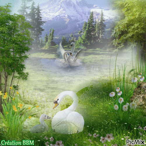 received_1902759513090471