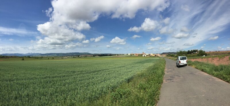 Weizenfelder im Rioja