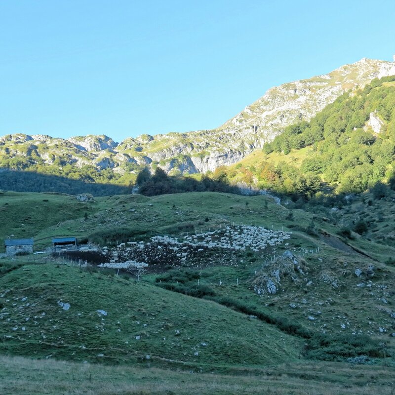 IMG_7052_DxO