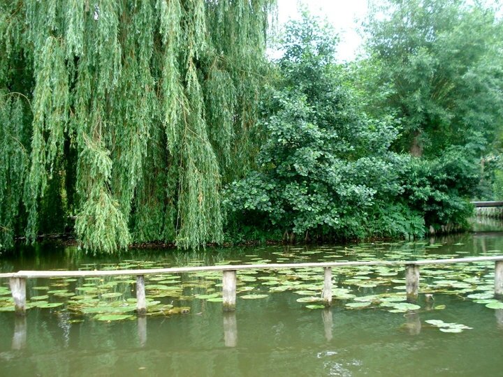 02 Les Hortillonages d'Amiens
