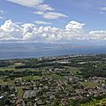 _DSC0686