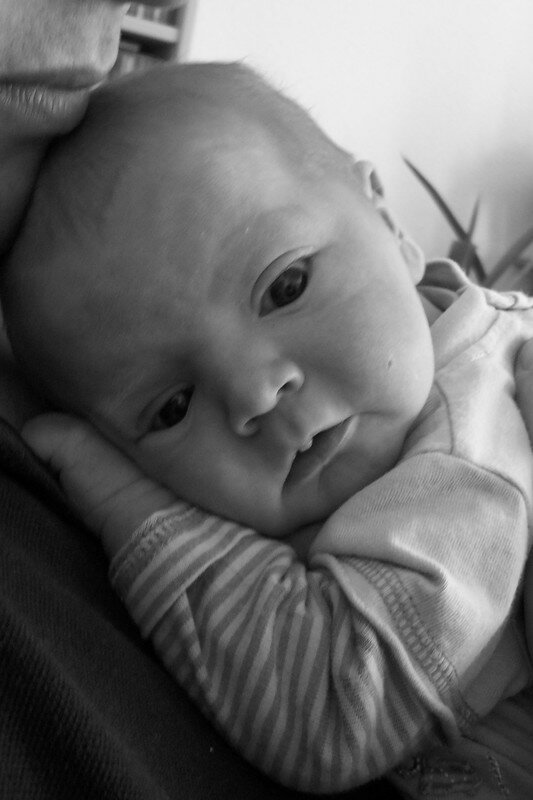 Noah Une Nouvelle Vie A Belle Ile Commence Par Un Blog