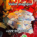Valise magique en euro,valise magique au bénin,valise magique en dollars,valise magique d'argent