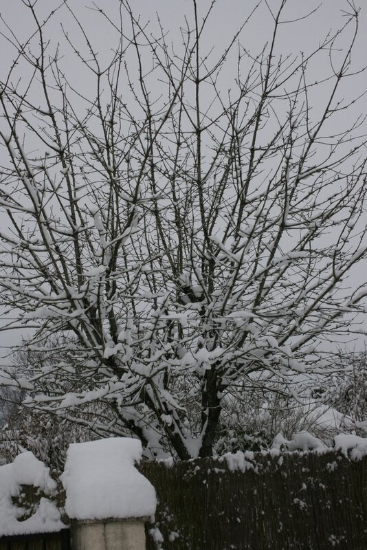 Neige 9