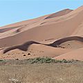 P1060381