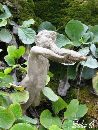 IMG_7560__800x600_
