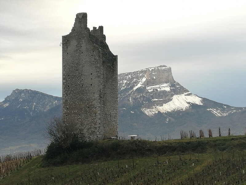 Vignes Chignin 2020 12 17 (32)
