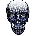 54958057923387675_WHcuNXAF_f