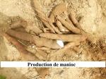 Production de manioc