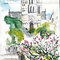 Angers , la cathédrale ,
