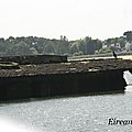 DSC09528