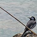 IMG_0014