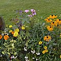 _DSC0649