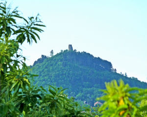 montrognon_bis