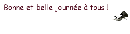 bonne et belle journée Mouette -