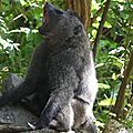 P1060316