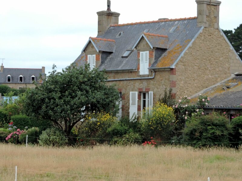 _copie-0_DSCN9098