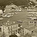 P1030783