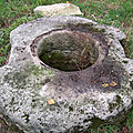 fontaine - la Gaconniere