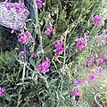 20190713_101348