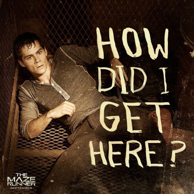 Labyrinthe 4 Film Date De Sortie Bande annonce et affiche teaser du film Le labyrinthe (The Maze Runner
