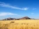 images savane