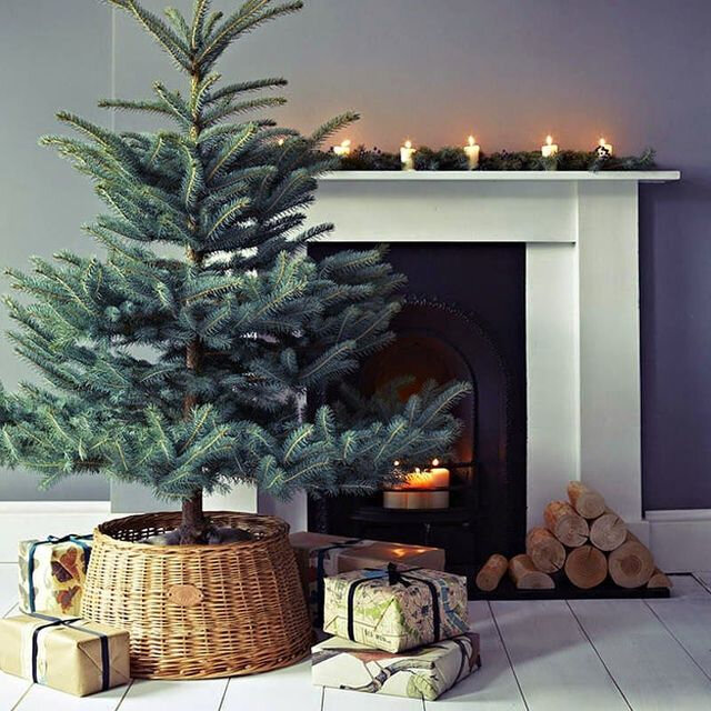un-panier-en-osier-en-guise-de-pied-de-sapin-de-noel_5429601