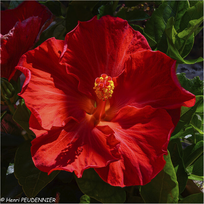 Z20_0621-FS