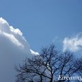 Ciel 26