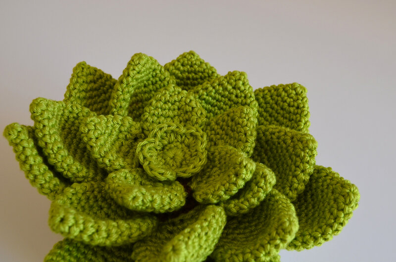 Pikiti la succulente-crochet-amigurumi-la chouette bricole (7)