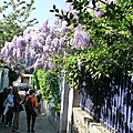 003 - Quartier de la Mouzaïa