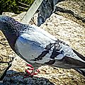 20160409_162926~2[1]