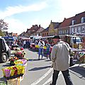 IMGP8868
