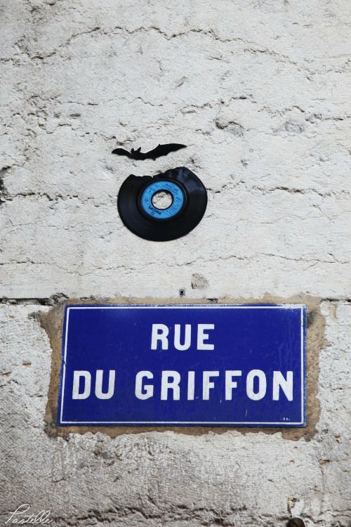 Griffon_13 16 04_1444