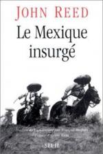 le mexique insurge