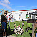 IMG_2452
