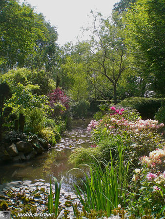 Le Jardin d'atmosphère du Petit~Bordeaux