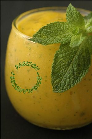 Sorbet_mangue_menthe_1