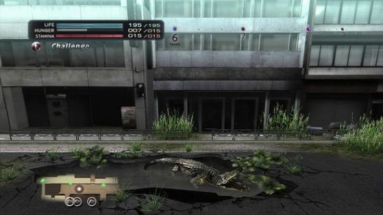 tokyo jungle (6)