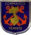 Insigne Tempête indo
