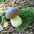 DSC05779